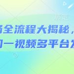 河马剧场爆款短剧全流程揭秘：3天破百万播放的实操技巧（限时分享）