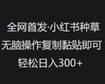 2024小红书最火种草躺赚秘籍！零门槛复制黏贴日入300+，手残党月入过万抓紧收藏