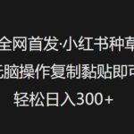 2024小红书最火种草躺赚秘籍！零门槛复制黏贴日入300+，手残党月入过万抓紧收藏