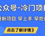 公众号冷门赛道暴利玩法：2024最新SEO优化秘籍，流量主躺赚攻略，单号月入5W+内部数据大曝光！