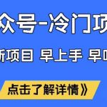 公众号冷门赛道暴利玩法：2024最新SEO优化秘籍，流量主躺赚攻略，单号月入5W+内部数据大曝光！