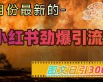 小红书引流秘籍2024亲测有效：日引300+精准创业粉 手把手教学实现月入10W+