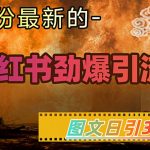 小红书引流秘籍2024亲测有效：日引300+精准创业粉 手把手教学实现月入10W+