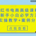 小红书电商爆单秘籍！7天零基础速成变现秘诀丨实战拆解+落地技巧