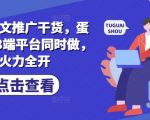 爆单秘籍!蛋花小说3端SEO推文实操，日入5000+流量暴涨全解析1213
