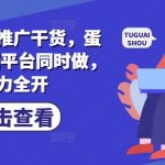 爆单秘籍!蛋花小说3端SEO推文实操，日入5000+流量暴涨全解析1213