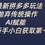 【24小时爆单】AI赋能拼多多新玩法！新手小白日入过千实战教程（限时免费）11113