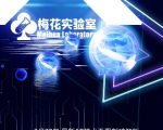 2025视频号连怼爆款秘籍｜全网最全AB去重黑科技，梅花实验室社群首发日引流破千