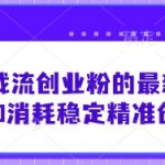 小红书截流创业粉独家秘籍！日引300+精准流量，不花一分钱轻松打造私域爆粉神器3141819