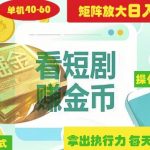 揭秘短剧广告暴利项目：零门槛躺赚日入3000+？矩阵操作+SEO必备技巧全解析