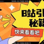 B站截流暴力引流新玩法！SEO优化日引200+精准流量双平台霸屏秘籍35917