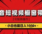 新手3天速成！抖音食品橱窗带货日赚3000+秘籍大公开（限时福利）11012