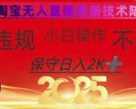 2025淘宝无人直播终极版！日赚3000+零门槛教程，100%不封号新玩法【限时泄露】