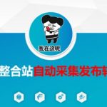 【SEO爆款】24小时无人值守！资源整合站自动采集发布转存系统，日增1000+收录解放双手1712