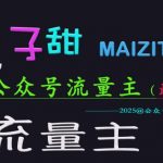 2025公众号流量主暴利新玩法！日入5000+独家实操秘籍，手把手教你躺赚收益147