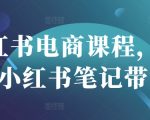 小红书电商爆款秘籍！3天手把手教你打造百万带货笔记（附流量密码）1291216