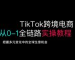 爆款秘籍！TikTok跨境电商终极指南：0基础日销百万实战攻略（附全球流量密码）163