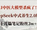AI中医大模型颠覆传统！DEEPSEEK养生2.0国家认证，30天吸粉3万，效果提升200%！7213