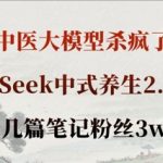 AI中医大模型颠覆传统！DEEPSEEK养生2.0国家认证，30天吸粉3万，效果提升200%！7213