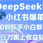 DeepSeek保姆级教程！0粉丝也能月入过万！小红书爆单玩法手把手教学（懒人勿进）