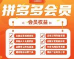 2025拼多多运营终极指南：7天爆单秘籍，日销千单实操全解析！21119