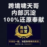 前跨境电商课程(内部课程)