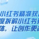 2025小红书SEO爆款秘籍：AI智能体精准获客翻倍，创作效率飙升500%！