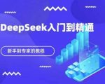 DeepSeek保姆级教程：零基础20天从入门到精通！小白逆袭AI专家必学！