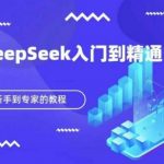 DeepSeek保姆级教程：零基础20天从入门到精通！小白逆袭AI专家必学！