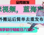 AI猫咪视频爆火蓝海赛道！月涨粉10W+日入1000+爆款秘籍（手残党狂喜附教程）8910
