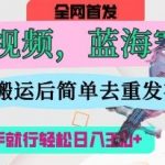 AI猫咪视频爆火蓝海赛道！月涨粉10W+日入1000+爆款秘籍（手残党狂喜附教程）8910