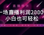 惊爆揭秘！半无人直播带货爆单秘籍：单场利润翻30倍！新手零门槛全平台躺赚攻略