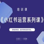 小红书SEO优化3天见效！思维转变让流量暴涨500%的终极秘籍