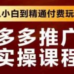 拼多多推广7天从零爆单秘籍：日销千单付费玩法+SEO排名飙升终极指南！139