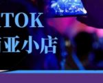 2025年TikTok东南亚跨境小店运营实战班：零基础掌握爆款店铺打造技巧！