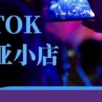 2025年TikTok东南亚跨境小店运营实战班：零基础掌握爆款店铺打造技巧！