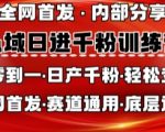 私域3天暴涨1000+粉！全网疯传的终极涨粉秘籍，手把手教你从0到日引千粉（任何行业适用）259