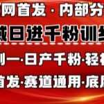 私域3天暴涨1000+粉！全网疯传的终极涨粉秘籍，手把手教你从0到日引千粉（任何行业适用）259