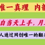 2025网创终极红利！零门槛躺赚秘籍曝光：新手当天上手狂揽5位数【内部课程揭秘】