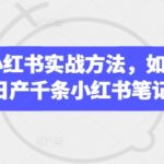 2025小红书SEO优化神技：内部流出3天见效！日产千条爆款笔记轻松霸屏首页3412
