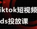 2024最新Google Ads+TikTok广告投放实战课：零基础到精通，高转化率爆款秘籍！