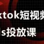 2024最新Google Ads+TikTok广告投放实战课：零基础到精通，高转化率爆款秘籍！