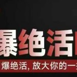 14天速成绝活IP吸金法：手把手教你用一技之长月入过万！1512