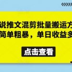 小说推文混剪暴利玩法：批量搬运零失败，日赚千元无需技术！