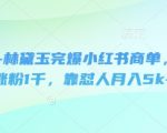 即梦AI+林黛玉IP爆款秘籍！3天狂吸1000粉实战攻略：小红书商单变现月入5K+（新手必看限时分享）6811