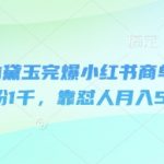 即梦AI+林黛玉IP爆款秘籍！3天狂吸1000粉实战攻略：小红书商单变现月入5K+（新手必看限时分享）6811