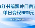 小红书冷门“暗黑”赛道爆赚！单日收益破千+的冷门变现秘籍