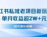 小红书私域引流变现新玩法：3步打造月入10W+秘籍，小白轻松上手！281015