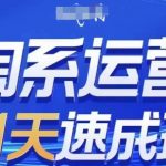 淘系运营21天速成班｜小白逆袭！2025最新玩法手把手教你从0到日赚300+
