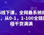 小红书全网首套颠覆式增长体系！零基础逆袭10万粉：12节实战课手把手教你从0-100全链路打造爆款账号！